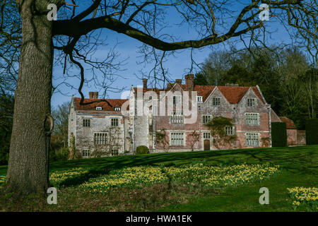 Primavera nel giardino di casa Chawton con un tappeto di narcisi. Chawton House è un grado ll* elencati Elizabethan Manor House nel villaggio di C Foto Stock