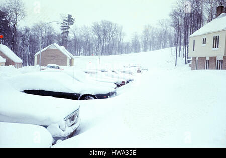 Risultati del Michigan una tempesta di neve Foto Stock