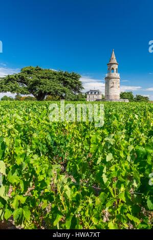 Francia, Gironde, Begadan, Chateau La Tour de By, vigna di 94 ettari (AOC Medoc), membro della Union des Grands Crus de Bordeaux, la torre, ex faro r Foto Stock