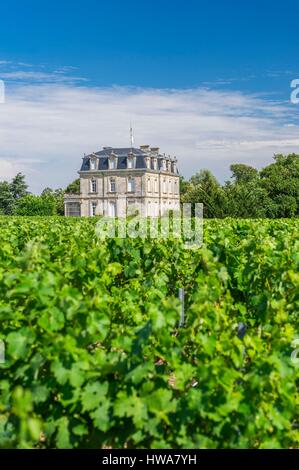 Francia, Gironde, Begadan, Chateau La Tour de By, vigna di 94 ettari (AOC Medoc), membro della Union des Grands Crus de Bordeaux Foto Stock