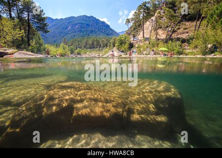 Francia, Corse du Sud, Alta Rocca, Quenza, Ponte Grossu, piscine naturali del fiume Solenzara Foto Stock