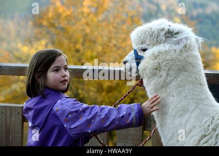 Francia, Vosges, La Bresse, la Basse des Feignes, la Montagne des Lamas, il sollevamento della lama e alpaca, 7 anno vecchia ragazza con un alpaca Foto Stock