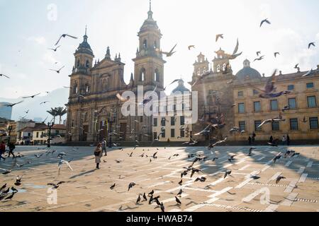 La Colombia, Cundinamarca dipartimento, Bogotà, il quartiere coloniale di Calendaria, Bolivar piazza (Plaza de Bolivar), la Cattedrale Foto Stock