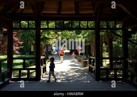 Francia, Gard Anduze, scanalatura di bambù di PraFrance creato nel 1856 etichettati Jardin Remarquable, la valle del Dragone, giardino giapponese Foto Stock