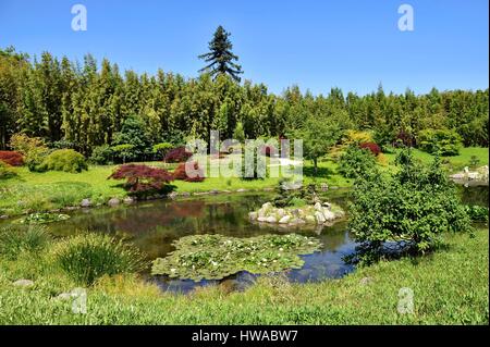 Francia, Gard Anduze, scanalatura di bambù di PraFrance creato nel 1856 etichettati Jardin Remarquable, la valle del Dragone, giardino giapponese Foto Stock