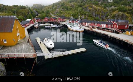 Norvegia, Nordland, isole Lofoten Flakstadoy island, il villaggio di pescatori di Nusfjord, piccolo porto di pescatori tradizionali cabine costruite su palafitte (rorbu Foto Stock
