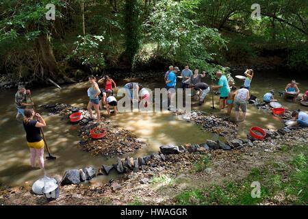 Francia, Dordogne, distretto di Jumilhac-le-Grand, gold panning nell'isola fiume verso Tindeix Foto Stock