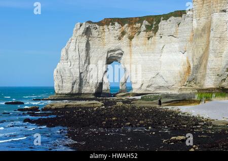 Francia, Seine-Maritime, Pays de caux, alabastro Costa (Cote d'alabastro), Etretat, Manneporte visto dalla pointe de la Courtine a bassa marea Foto Stock