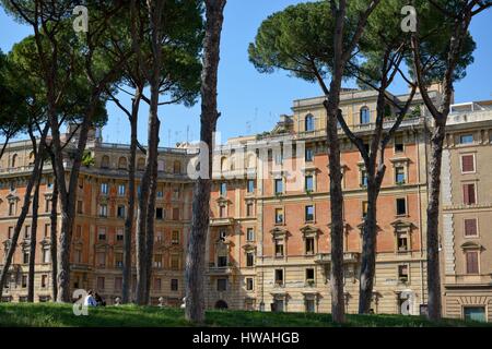 Italia Lazio Roma centro storico sono classificati come patrimonio mondiale dall' UNESCO, il distretto del Vaticano, Adriana posto, pini nella parte anteriore del mattone-costruiti edifici Foto Stock