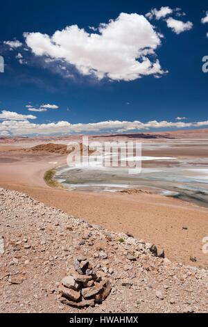 Il Cile, il Deserto di Atacama, Salar de Aguas Calientes, salina e la laguna Foto Stock