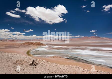 Il Cile, il Deserto di Atacama, Salar de Aguas Calientes, salina e la laguna Foto Stock