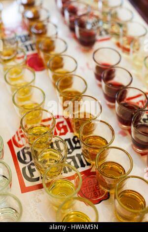 In Germania, in Baviera, Berchtesgaden, Enzianbrennerei Grassl, Genziana Distilleria, bicchieri di grappa Foto Stock