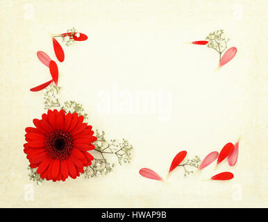 Cornice decorativa di fiori rossi e bianchi con petali di fiori sul vecchio sfondo della carta. Appartamento laico, vista dall'alto. Foto Stock