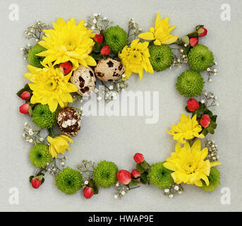 Cornice decorativa di giallo, verde e fiori di colore bianco con uova di quaglia su grigio Sfondo della carta. Appartamento laico, vista dall'alto. Foto Stock