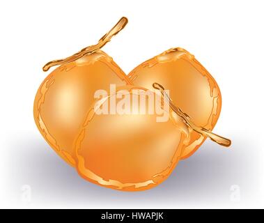 Giovani noci di cocco giallo isolato Illustrazione Vettoriale