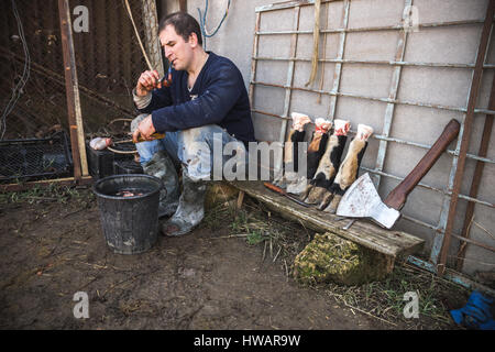 Krasnodar, Russia - 4 Marzo 2017: giovani adulti macellaio russo fumi tubo dopo un abbattimento di un toro. Ax e bull zoccoli stand su una vecchia panca di legno n Foto Stock