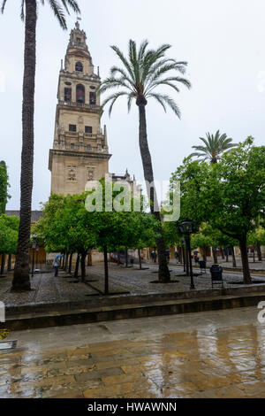 La Mezquita di Cordova, Spagna, il campanile visto dalla Corte di arance Foto Stock