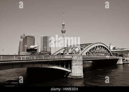 TOKYO, Giappone - 15 Maggio: Skytree come il punto di riferimento della città il 15 maggio 2013 a Tokyo. Tokyo è la capitale del Giappone e la più popolosa area metropolitana in Foto Stock