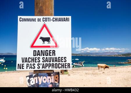 Francia, Corse du Sud, Coti Chiavari, segno di divieto sulla spiaggia di Verghia Foto Stock