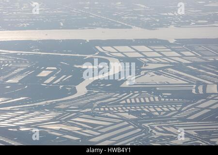 Francia, Charente Maritime, Saint Just Luzac, paludi e il fiume Seudre (vista aerea) Foto Stock