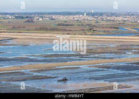 Francia, Charente Maritime, Re isola, Ars en Re, etichettati Les Plus Beaux Villages de France (i più bei villaggi di Francia, uomini che lavorano negli allevamenti di ostriche (vista aerea) Foto Stock