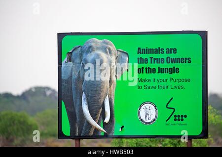 Sri Lanka, Yala National patk, pannello di informazione per proteggere le specie sensibili Foto Stock