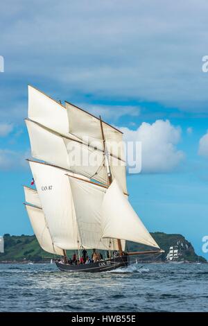 Francia, Finisterre, Brest, Brest 2016 International Maritime Festival, grande raduno di imbarcazioni tradizionali provenienti da tutto il mondo, ogni quattro anni per una settimana, La Cancalaise è una replica bisquine costruito nel 1987 a Cancale Foto Stock