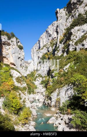 Francia, Alpes de Haute-Provence, riserva naturale regionale del Verdon, il Gran Canyon del Verdon, il fiume del Verdon all' ingresso del corridoio Samson, poiché il percorso Blanc-Martel sulla GR4 Foto Stock