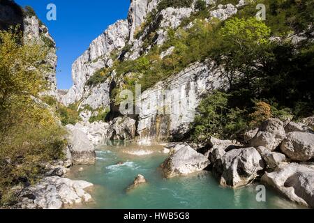 Francia, Alpes de Haute-Provence, riserva naturale regionale del Verdon, il Gran Canyon del Verdon, il fiume del Verdon all' ingresso del corridoio Samson, poiché il percorso Blanc-Martel sulla GR4 Foto Stock