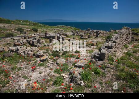 L'Italia, Sardegna, regione di Oristano, la penisola del Sinis, Tharros, rovine dell antica città fenicia Foto Stock