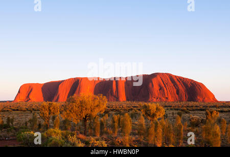 Tramonto su Uluru, Uluru-Kata Tjuta National Park, il Territorio del Nord, l'Australia Foto Stock