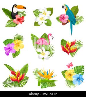 La composizione set con fiori tropicali, uccelli esotici e piante Illustrazione Vettoriale
