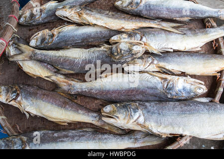 Pesce salato Foto Stock