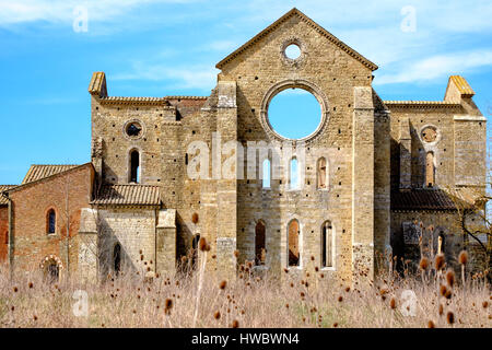 Antica abbazia di San Galgano in Toscana, Italia. Si trova a circa trenta chilometri dalla città medievale di Siena Foto Stock