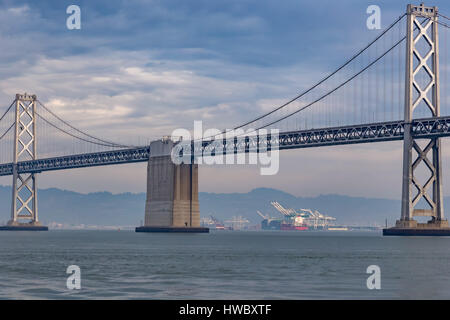 Seagull, aringa gabbiano, arroccato su una ringhiera a San Francisco, California Foto Stock