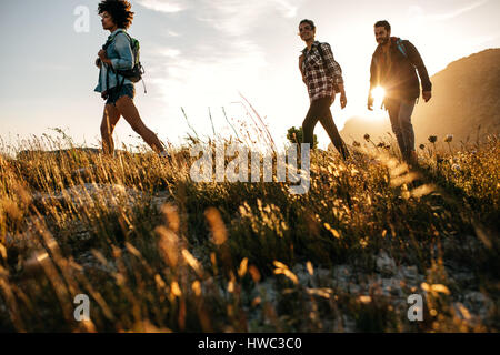 Tre giovani amici su un paese a piedi. Gruppo di persone passeggiate attraverso la campagna. Foto Stock