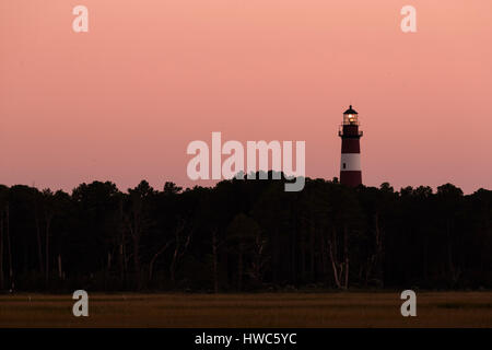 Assateague luce dopo il tramonto in Chincoteague National Wildlife Refuge, VA,STATI UNITI D'AMERICA Foto Stock