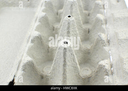 Close-up di un aperto di cartone grigio scatola per uova Foto Stock