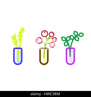 Fiori in palloni di vetro icone vettoriali. Bacche linea floreale colorato illustrazione vettoriale. Illustrazione Vettoriale