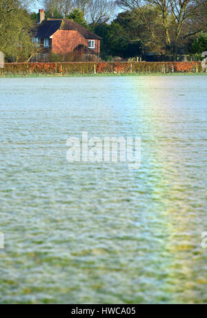 Rainbow creati dalla luce rifratta dalla rugiada su milioni di minuscoli ragnatele, East Sussex. Foto Stock