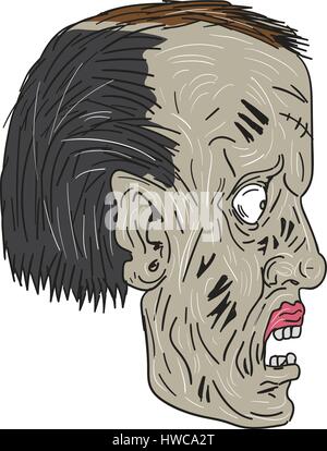 Schizzo di disegno illustrazione dello stile di uno zombie testa cranio visto dal lato impostato su isolato sullo sfondo bianco. Illustrazione Vettoriale