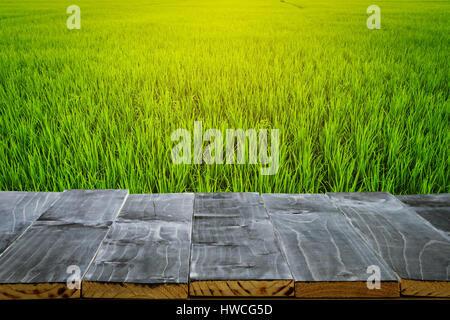 Svuotare tavolo in legno top per display del prodotto montage e campo di riso e la luce del sole. Foto Stock