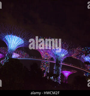 Vista sulla piazza del light show all'Supertree grove in Singapore. Foto Stock