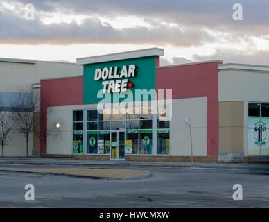 Una struttura ad albero del dollaro negozio al dettaglio a Calgary, Alberta, Canada. Foto Stock