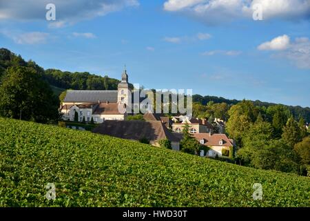 Francia, Marne, Hautvillers, Marne Valley, vigneto in champagne elencati Premier Cru e sono classificati come patrimonio mondiale dall' UNESCO con la Abbazia San Pietro di Hautvillers del VII secolo dove è stata sviluppata la Champagne per la prima volta da Dom Pérignon Foto Stock