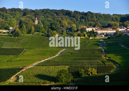 Francia, Marne, Hautvillers, Marne Valley, vigneto in Champagne elencati Premier Cru e sono classificati come patrimonio mondiale dall' UNESCO con la Abbazia San Pietro di Hautvillers del VII secolo dove è stata sviluppata la Champagne per la prima volta da Dom Pérignon Foto Stock