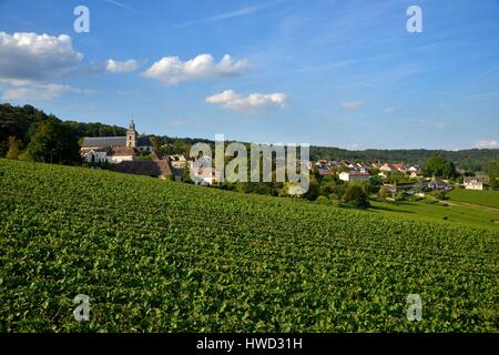 Francia, Marne, Hautvillers, Marne Valley, vigneto in champagne elencati Premier Cru e sono classificati come patrimonio mondiale dall' UNESCO con la Abbazia San Pietro di Hautvillers del VII secolo dove è stata sviluppata la Champagne per la prima volta da Dom Pérignon Foto Stock