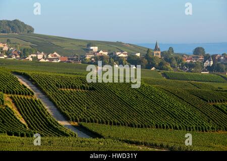 Francia, Marne, Ville Dommange, Montagna di Reims, vigneti della Champagne con un villaggio di sfondo e una chiesa Foto Stock