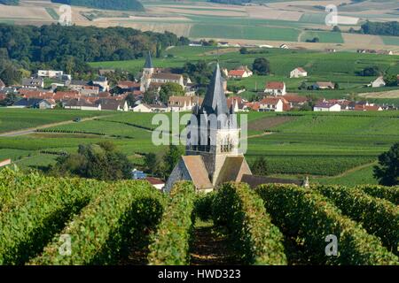 Francia, Marne, Ville Dommange, Montagna di Reims, chiesa di Saint giacciono del XII secolo in mezzo ai vigneti della Champagne all'alba con Sacy village in background Foto Stock