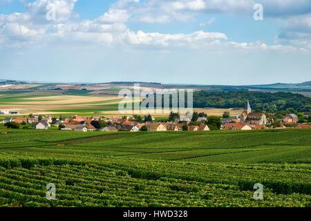 Francia, Marne, Sacy, Montagna di Reims, vigneti della Champagne in montagna con un villaggio in background Foto Stock